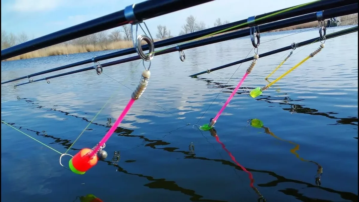 Фото с сайта: https://avatars.dzeninfra.ru