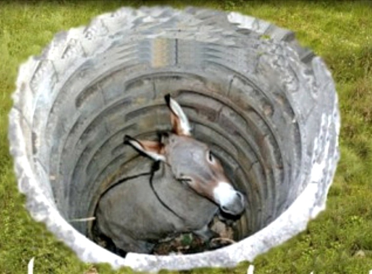 Так почему бы сразу не убить двух зайцев – засыплю я старый колодец, да и ослика заодно закопаю