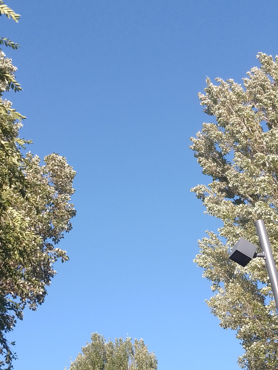 Или это опыт ляжет на наших детей и потомков 😟