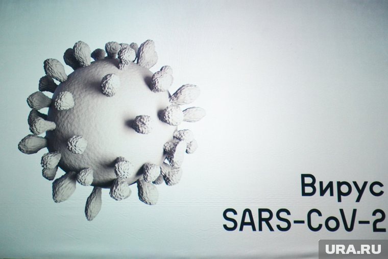 Источник https://s.ura.news/images/news/figures/188/191/4f6b75bb-bda6-43fc-bc5e-55e4aeffdd9d/ejcw1q/M-760.1.5.jpg