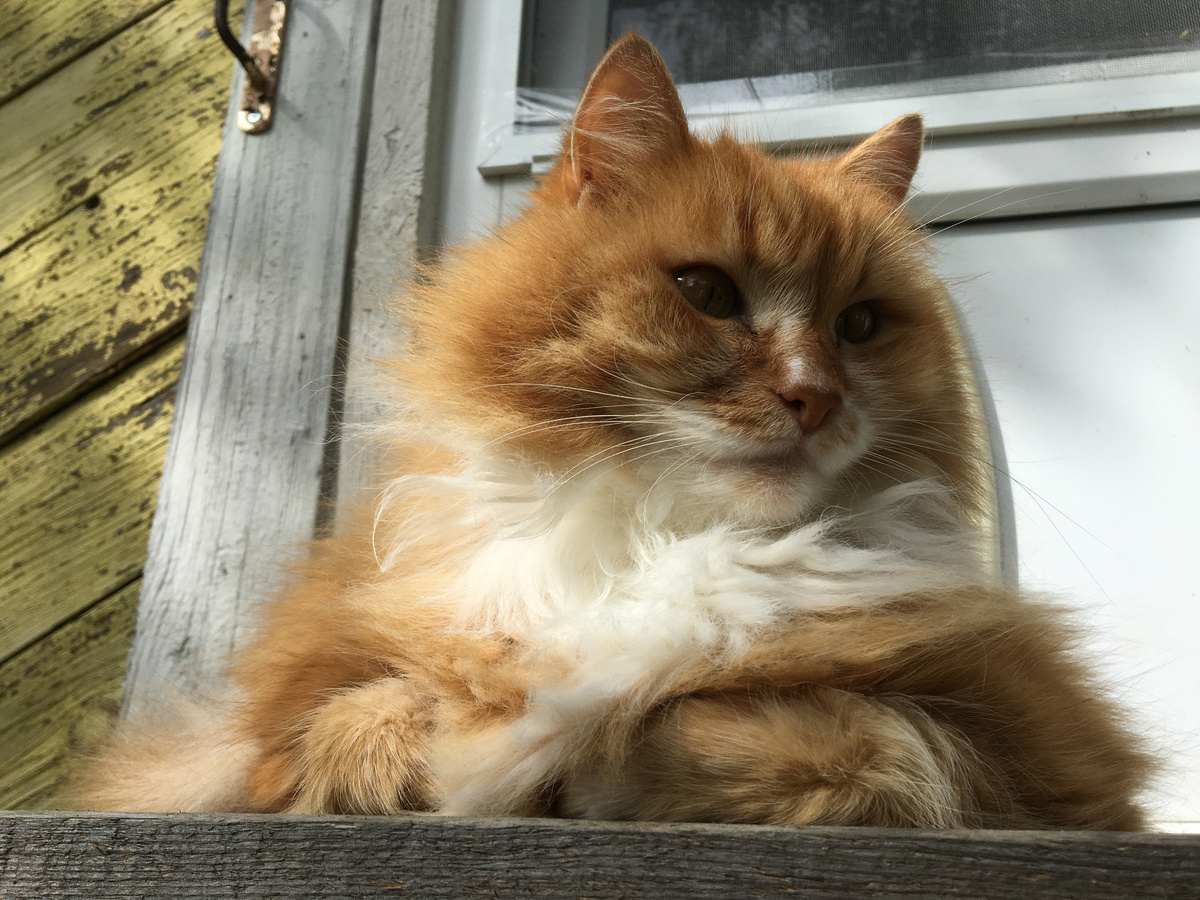 Беша. Фото автора