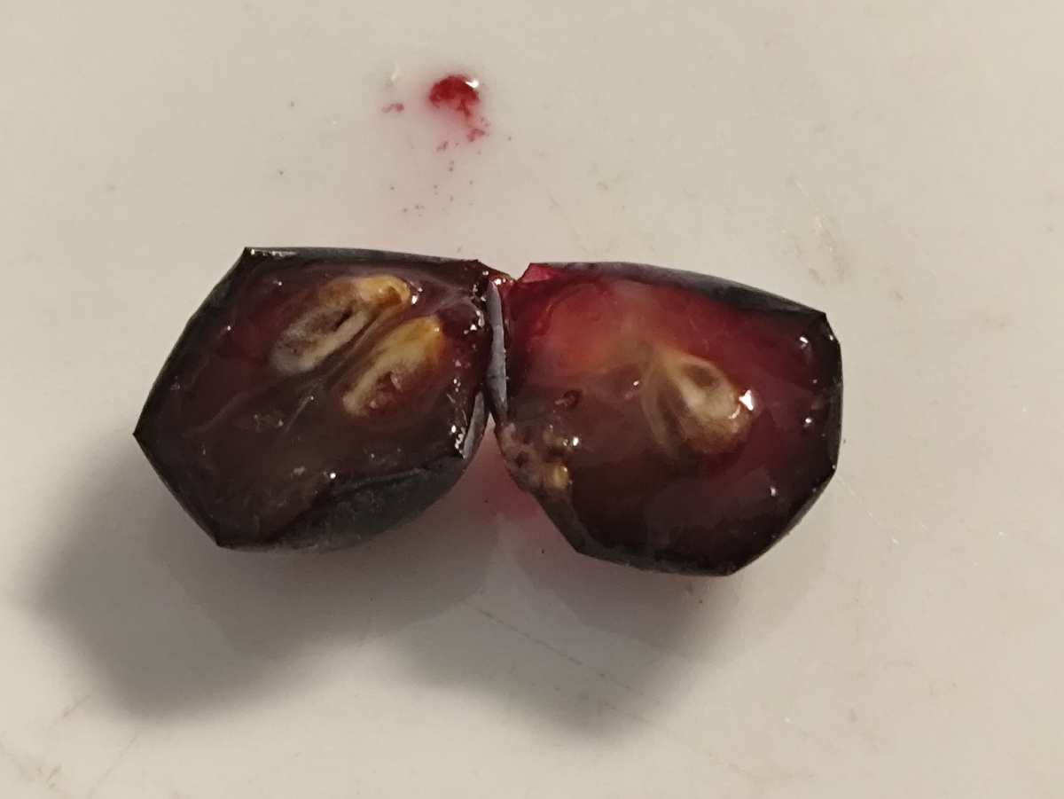 Это ягода из Песок, с шикарным мускатом. Всего 18 брикс