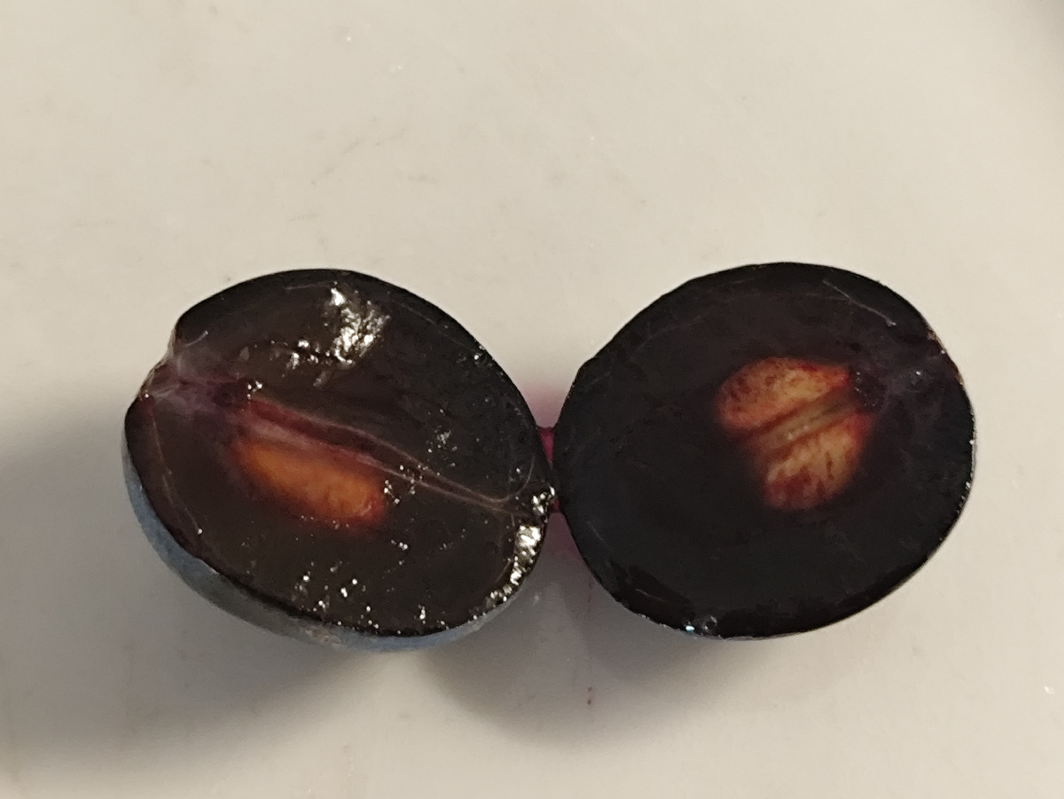 Это неизвестный сорт, но в нем еще меньше, всего 16 брикс