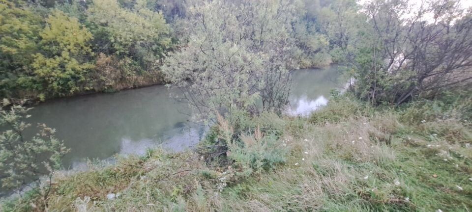    Место обнаружения тела. Источник: СУ СКР по Алтайскому краю