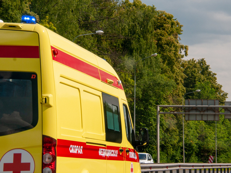     Фото: Svetlana Vozmilova/Global Look Press