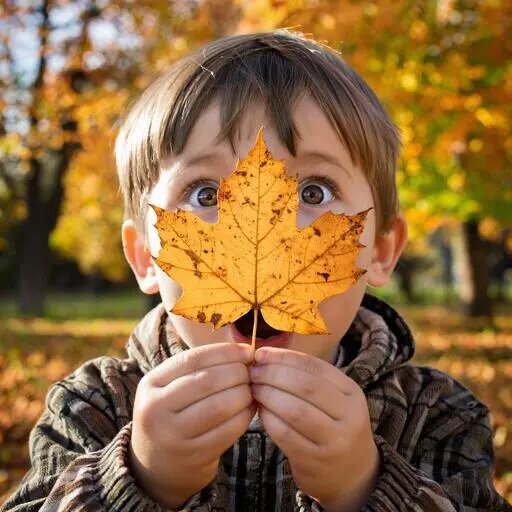   Простой фокус с листом дерева Мария Казённова