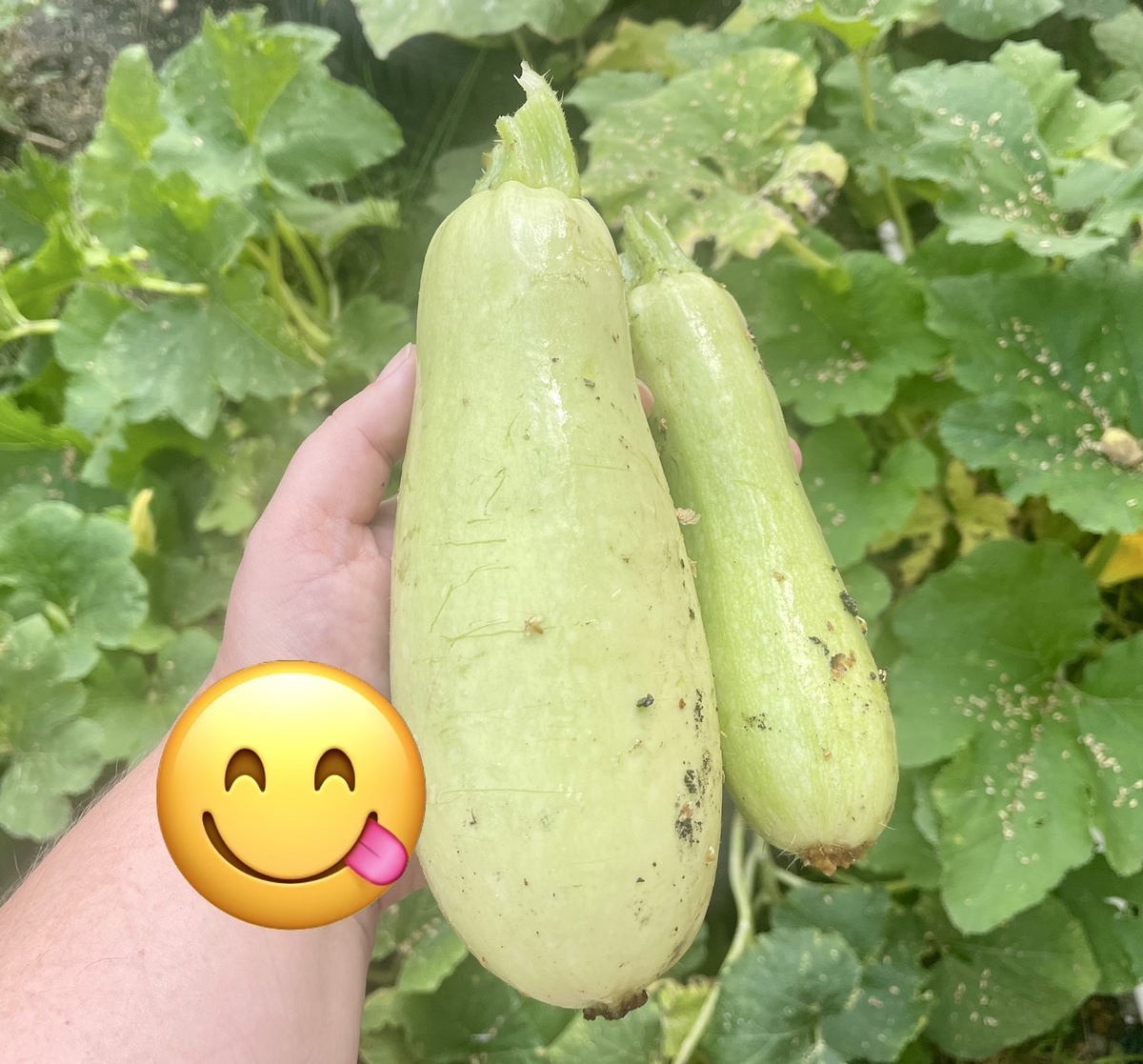 Личное фото автора канала