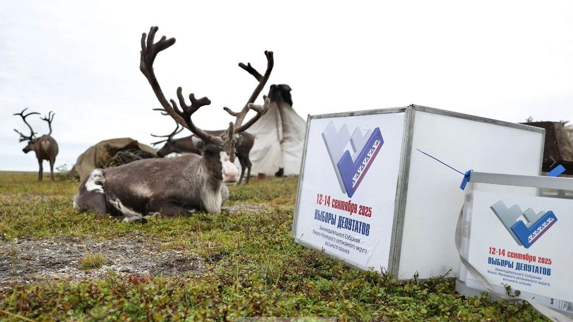    Фото: Андрей Ткачев/«Ямал-Медиа»