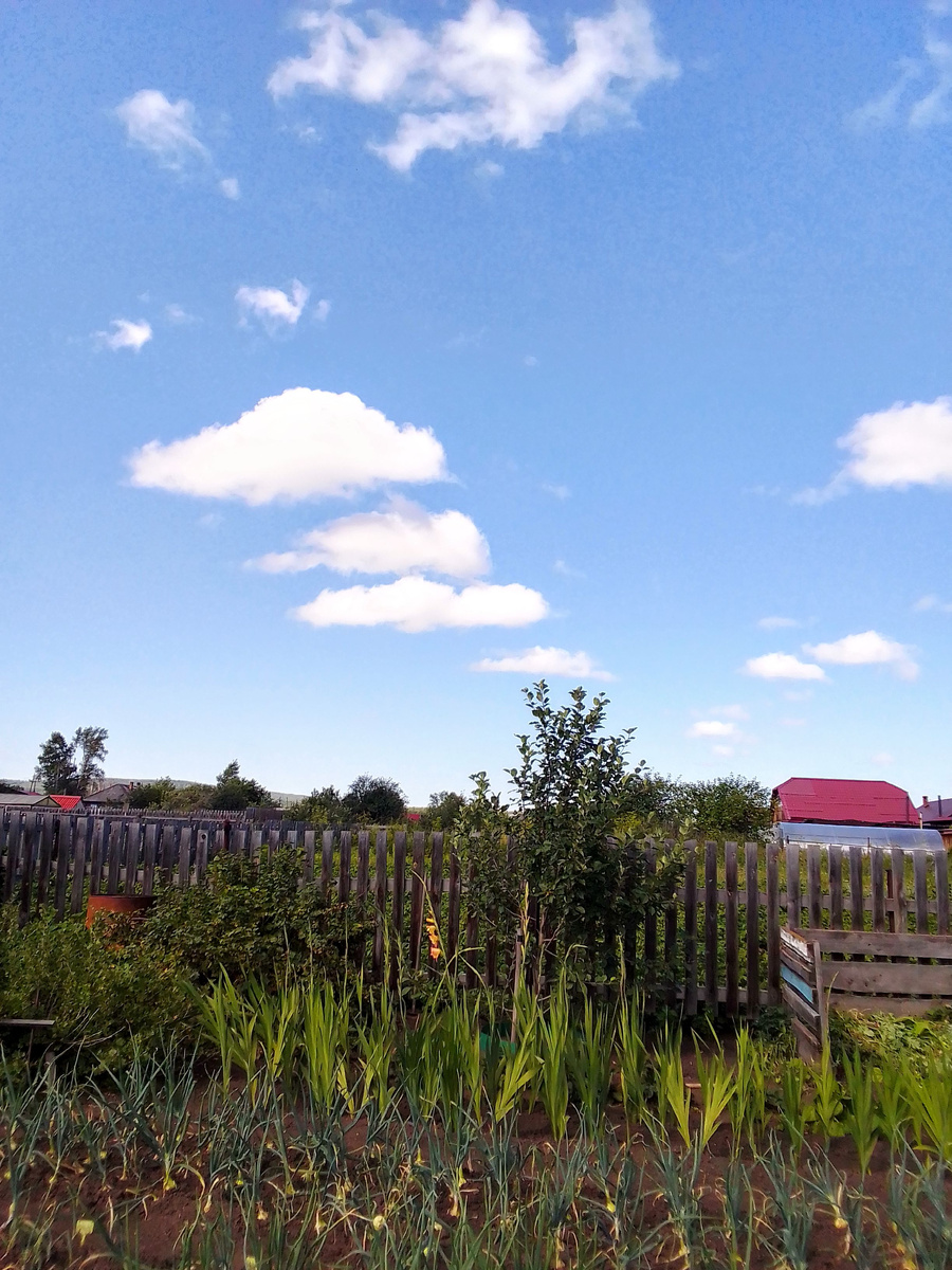 По всем приметам скоро осень. Видите, клин облаков на юг полетел? 😄