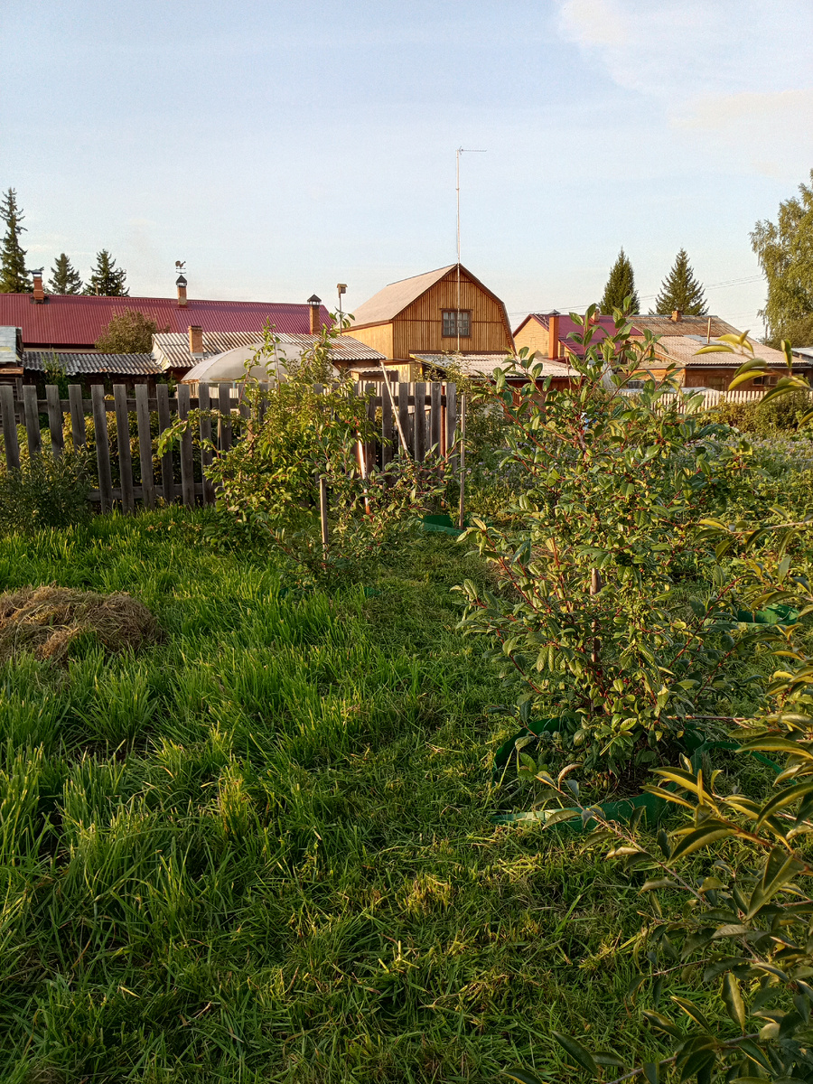 Сенокос в разгаре, несмотря, на то, что уже вторая половина августа.