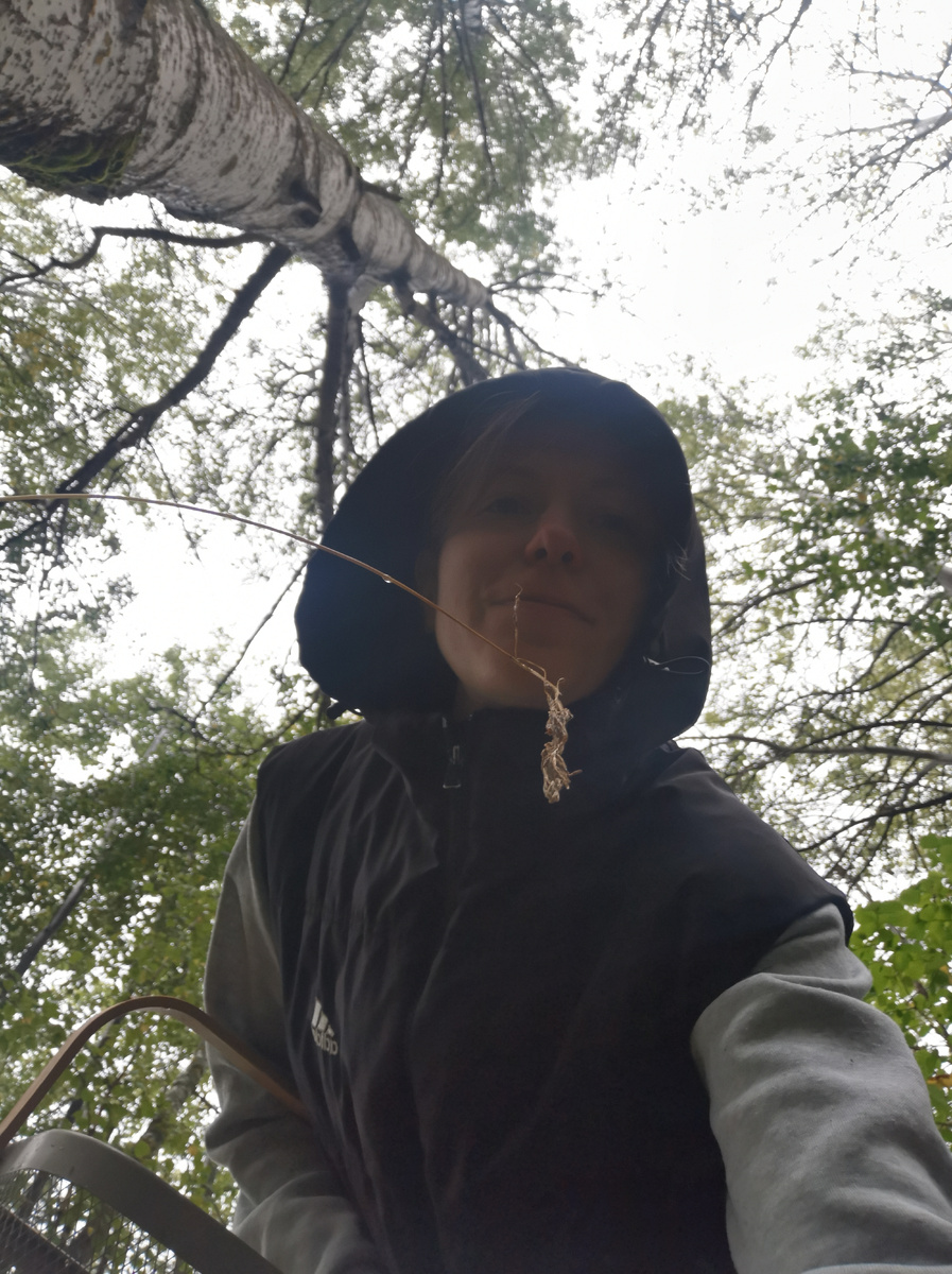 Хотела гриб сфоткать 😂