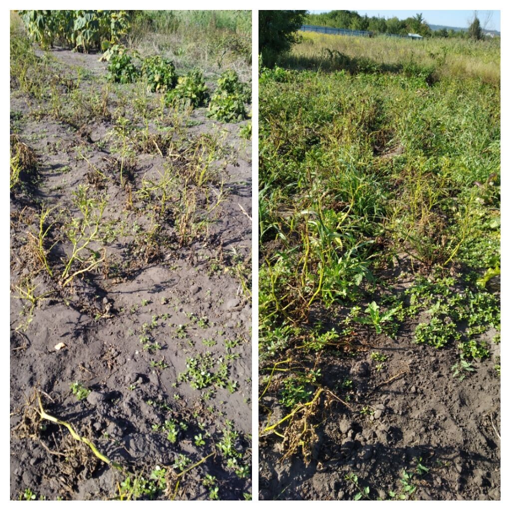 Было - стало 🫠