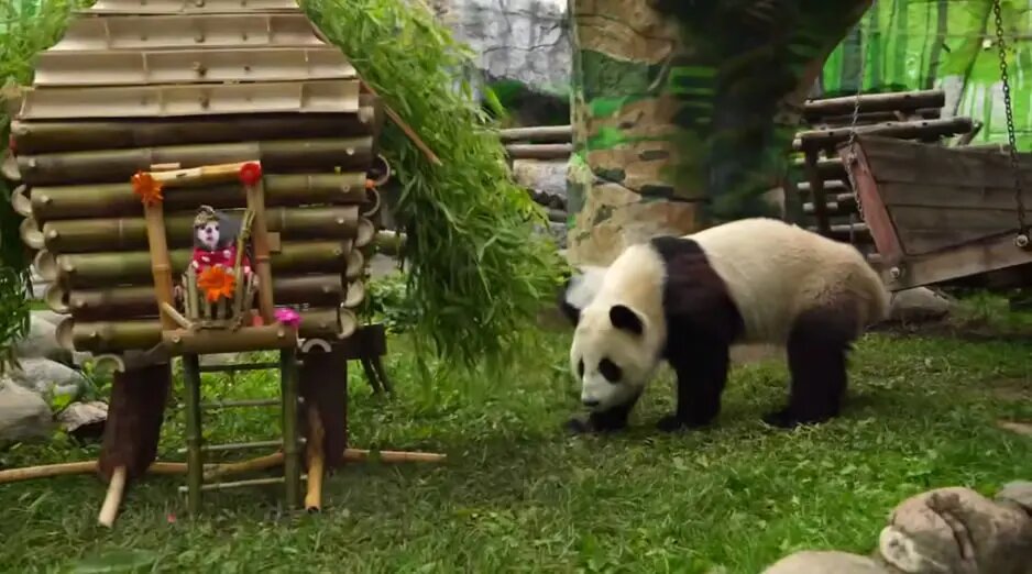    Фото: скриншот из видео в телеграм-канале Светланы Акуловой.