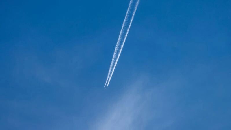    Фото: Федор Воронов/«Ямал-Медиа»