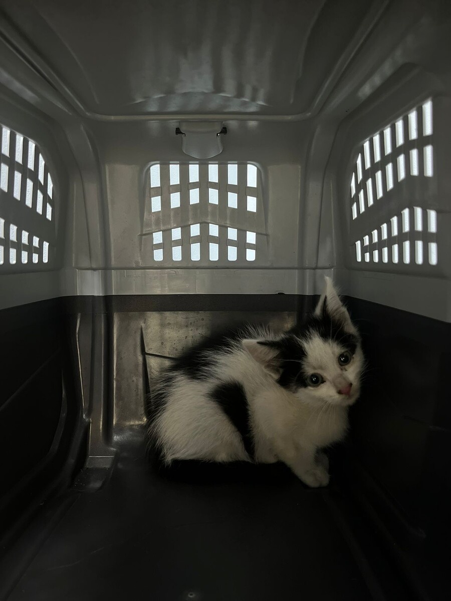 Очень страшно! Но уже безопасно