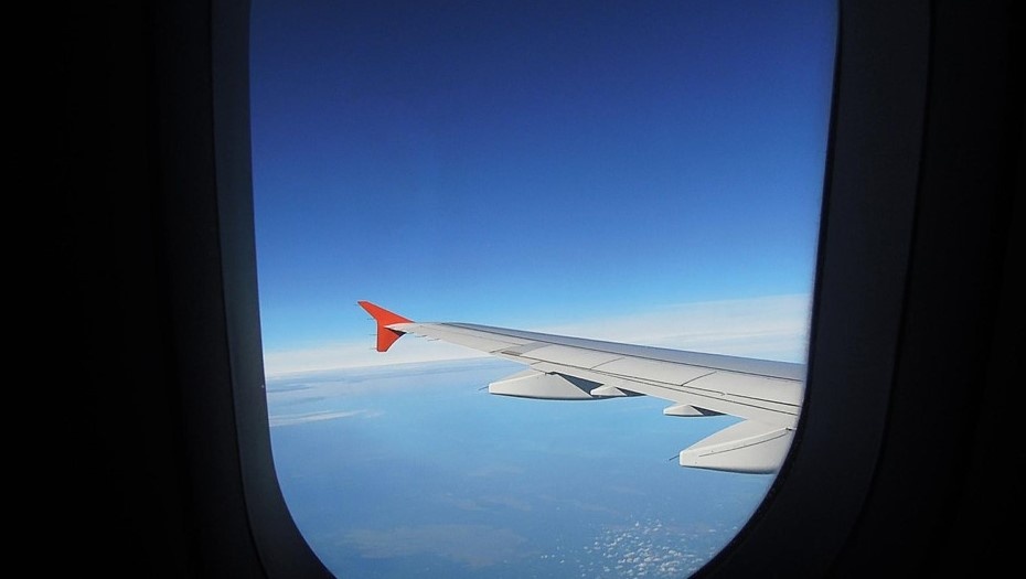    Автор фото: Анжелика Тихонова