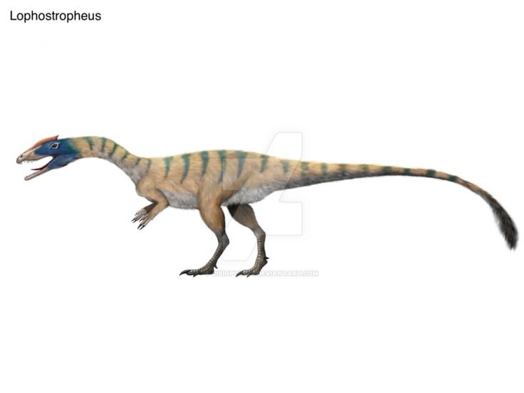 Пернатый лофострофей, реконструкция.