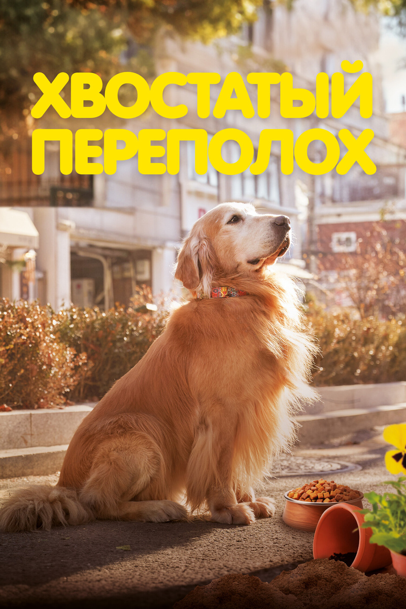 Корейский фильм "Хвостатый переполох" 2024