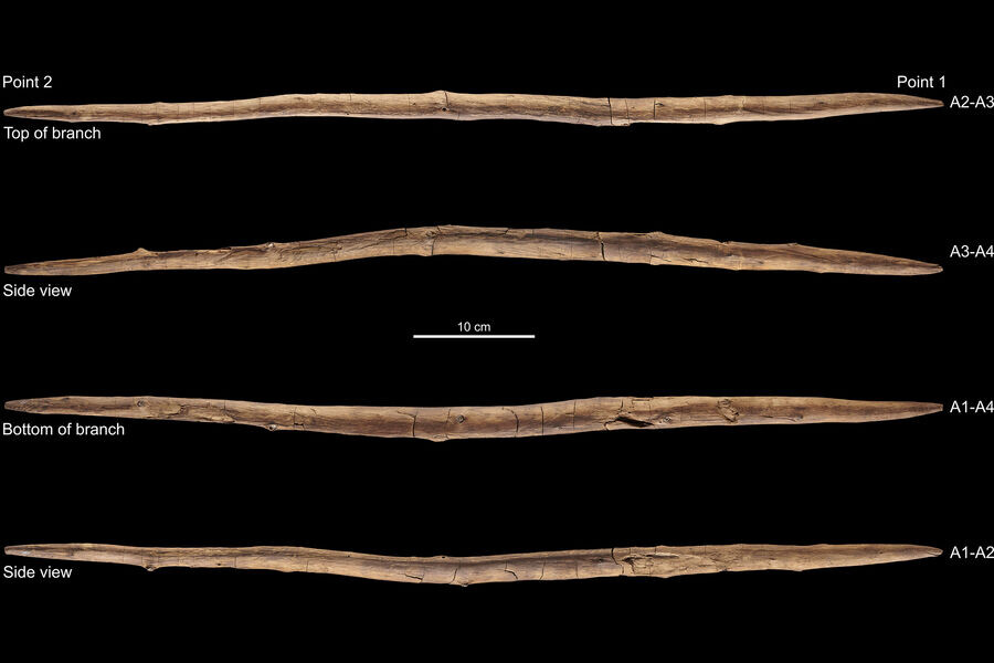 Метательная палка длиной 64,5 см и шириной 2,9 см при весе 264 г., найденная во время раскопок плейстоценовой стоянки недалеко от Шёнингена (Германия).