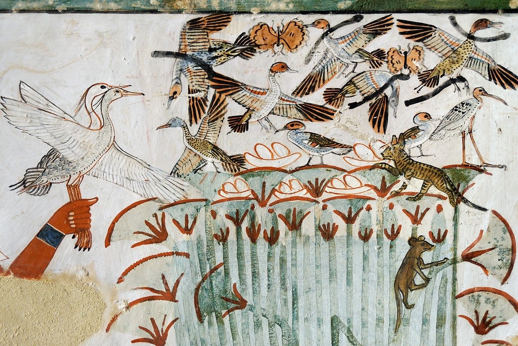 Охота на водоплавающих птиц в Верхнем Египте с помощью метательных палок