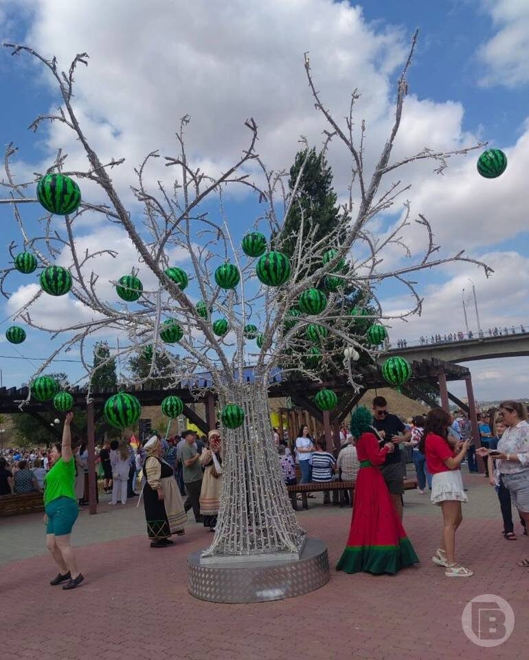    фото: "Городские вести"