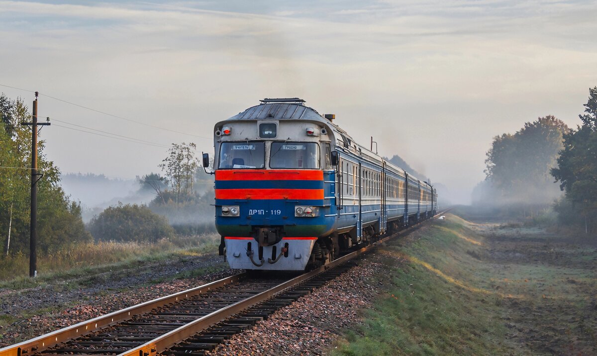 ДР1П. Фото с сайта RailTrain.ru
