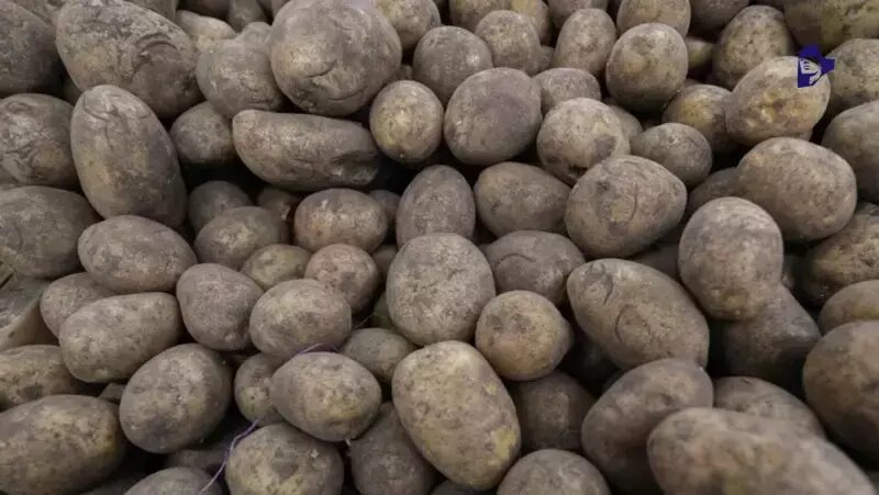      Фото: ИА «Победа26»