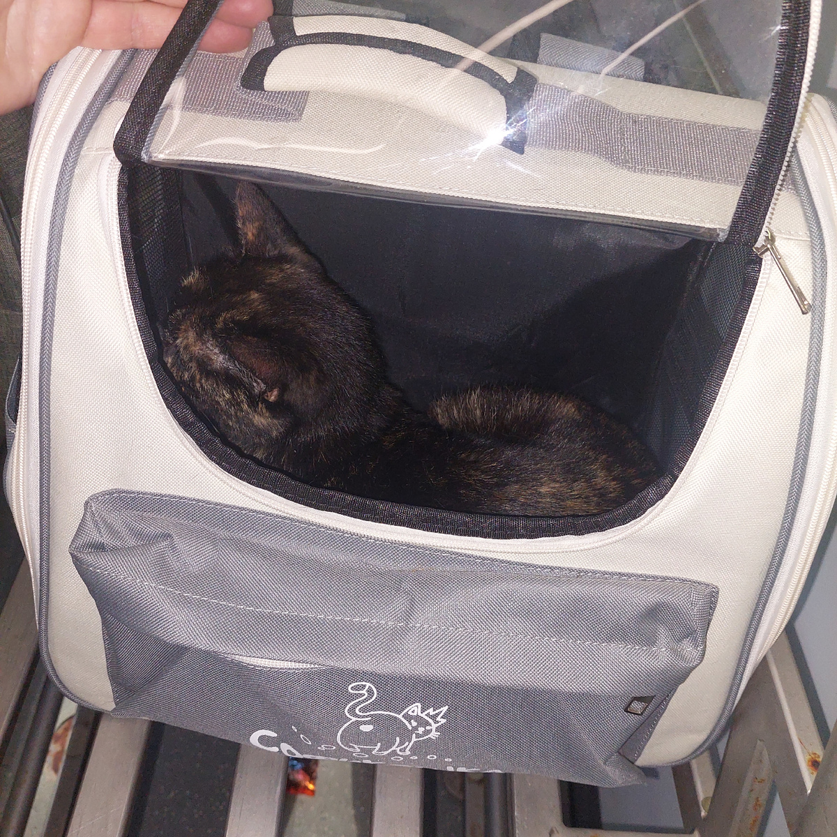 Фото автора.