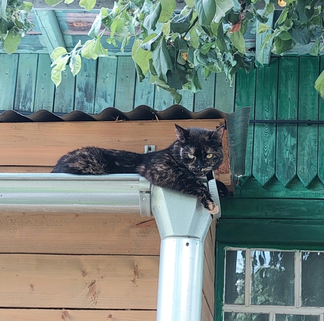 Мне сверху видно всё...