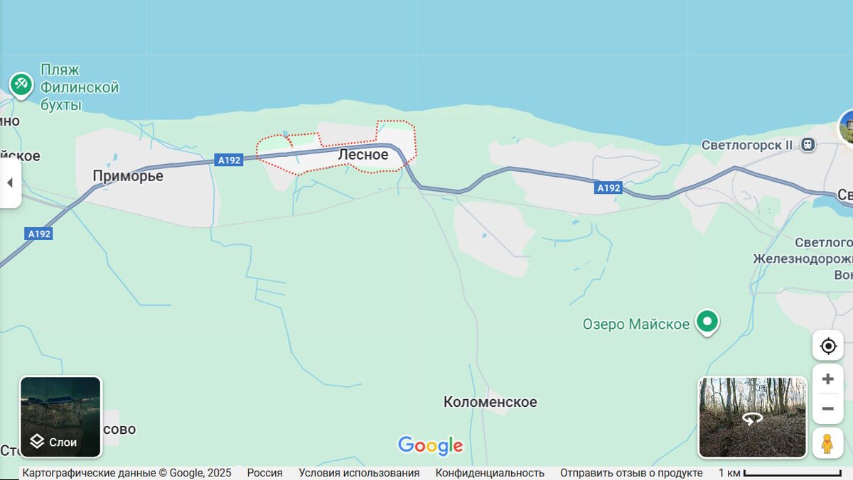 Карта и расположение поселка Лесное