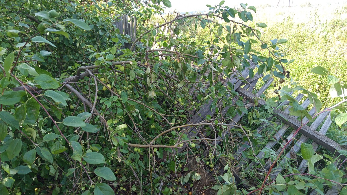 Как-то так..