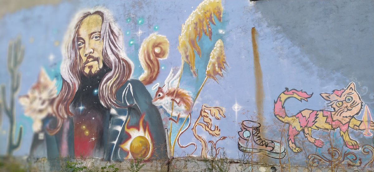 Стена Егора Летова. Омск 