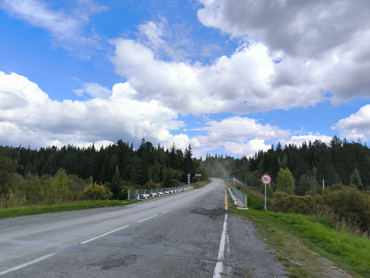 Начало тайги за Осиновкой