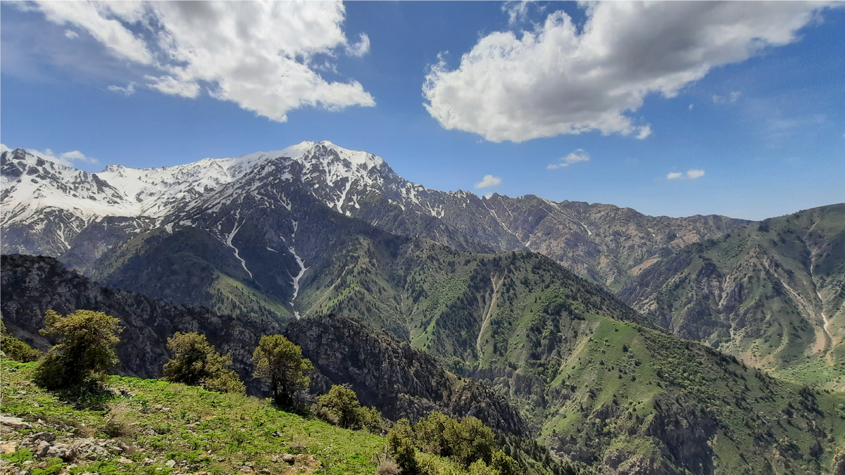 Большой Чимган. Величественная часть Чаткальского хребта, отрога могучего Таласского Ала-Тоу — главного хребта Западного Тянь-Шаня.