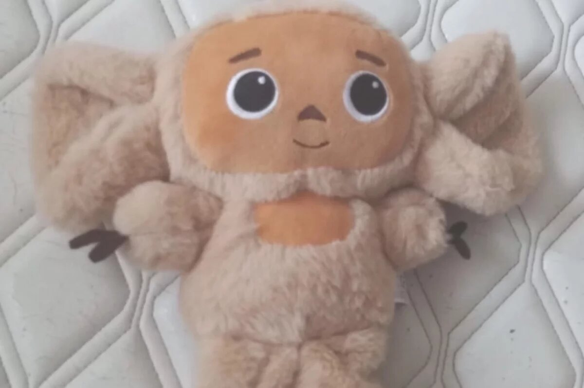    Ростовская бизнес-леди за Чебурашку выплатит «Союзмультфильму» 81 тыс. руб.