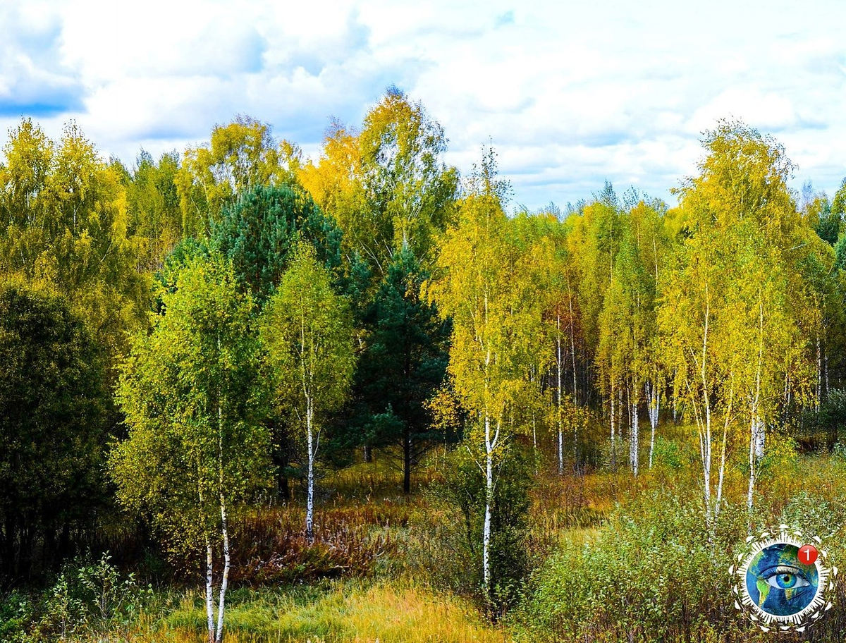 природа Брянщины