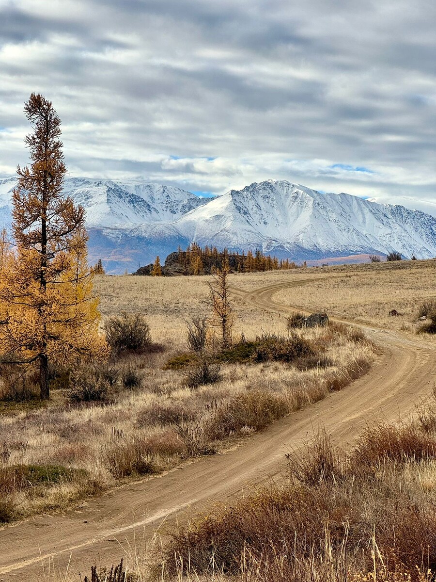 Фото из интернета