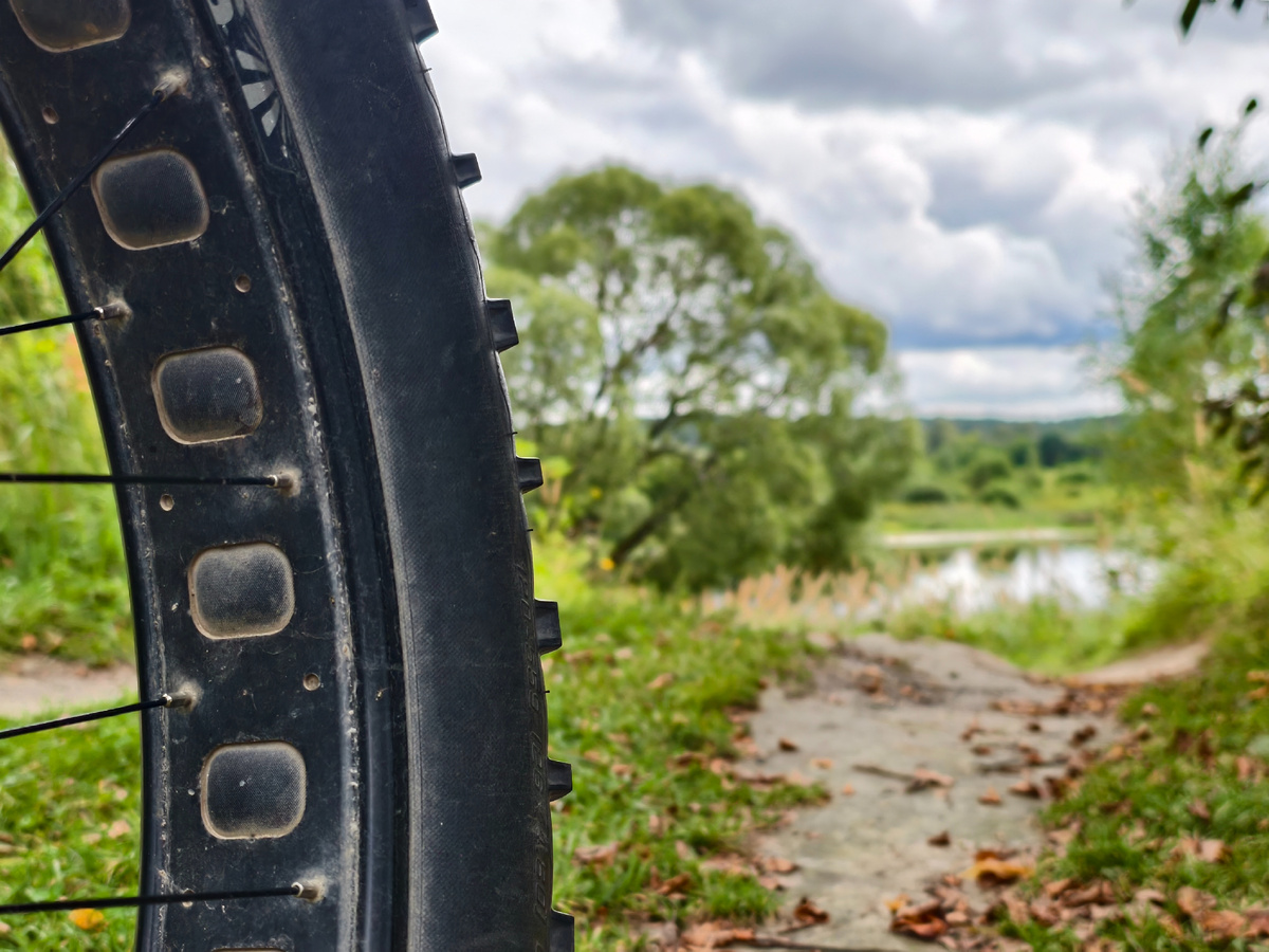 У Кривого озера