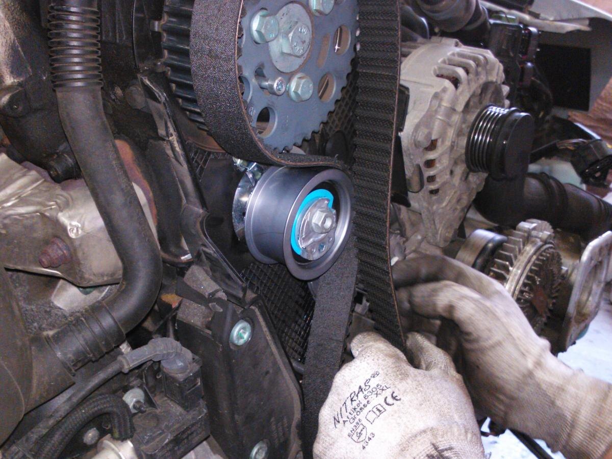 Фото взято с открытых источников. 