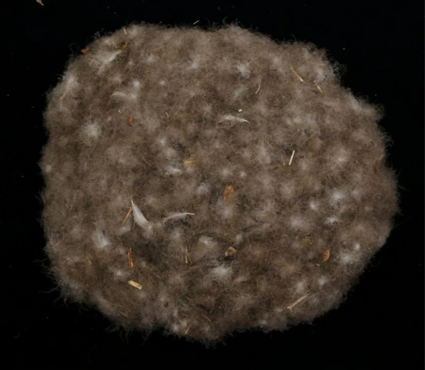 Гагачий пух