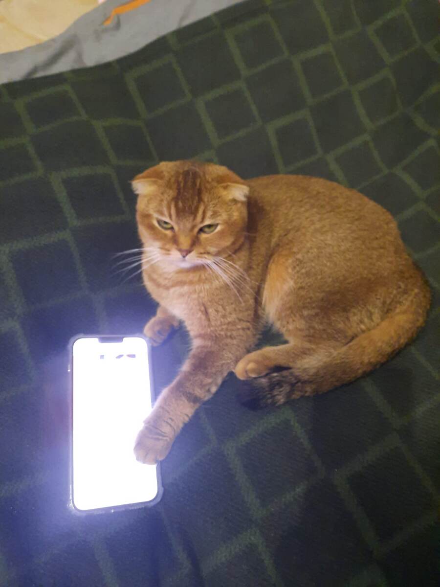 Изличного архива.