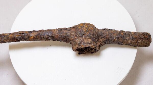    © Photo : пресс-служба СФУ/Евгений Пузин