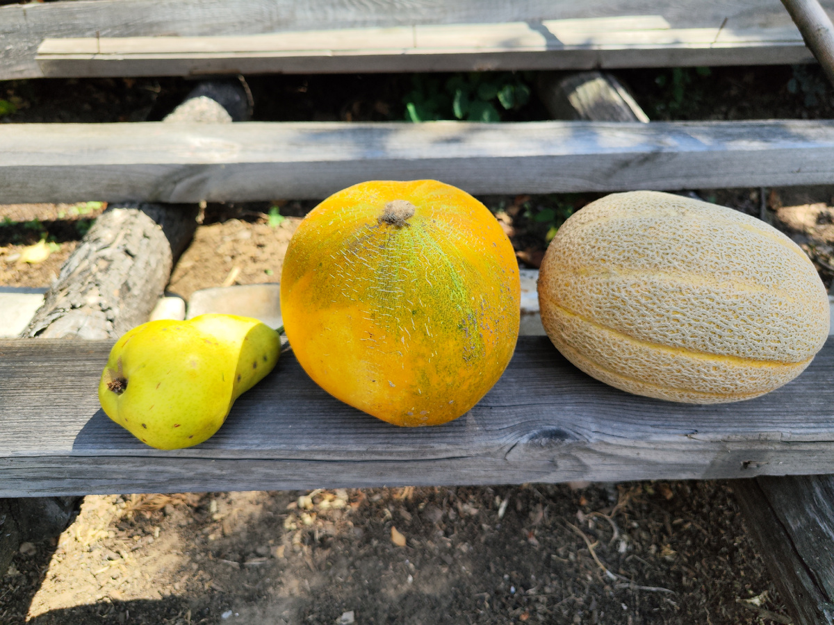 Джумбо справа