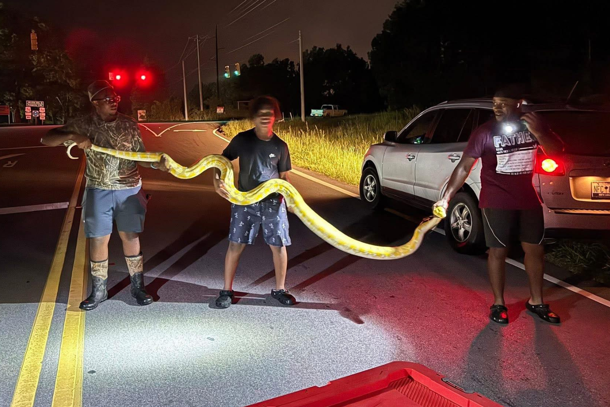     / Источник: Кадр из видео