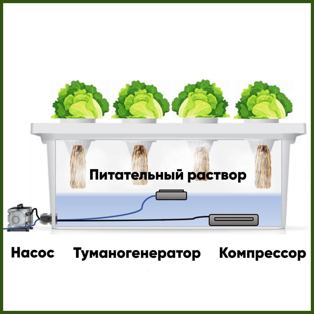 Туманогенератор распыляет раствор, компрессор даёт воздух, насос возвращает жидкость. Критично держать таймеры "туман–пауза" и стабильные EC/pH на мягкой воде - иначе ждите солевой налёт и остановку тумана.