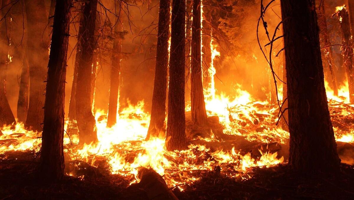 изображение взято из свободных источников 