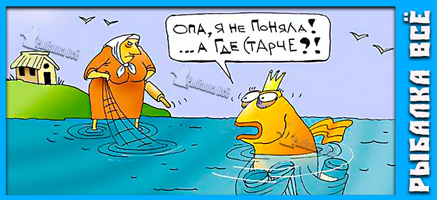 Анекдоты про рыбалку: пять историй, которые поймут только настоящие рыбаки