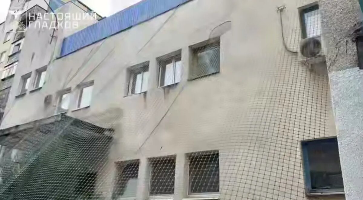    Фото: скриншот из видео в телеграм-канале «Настоящий Гладков»