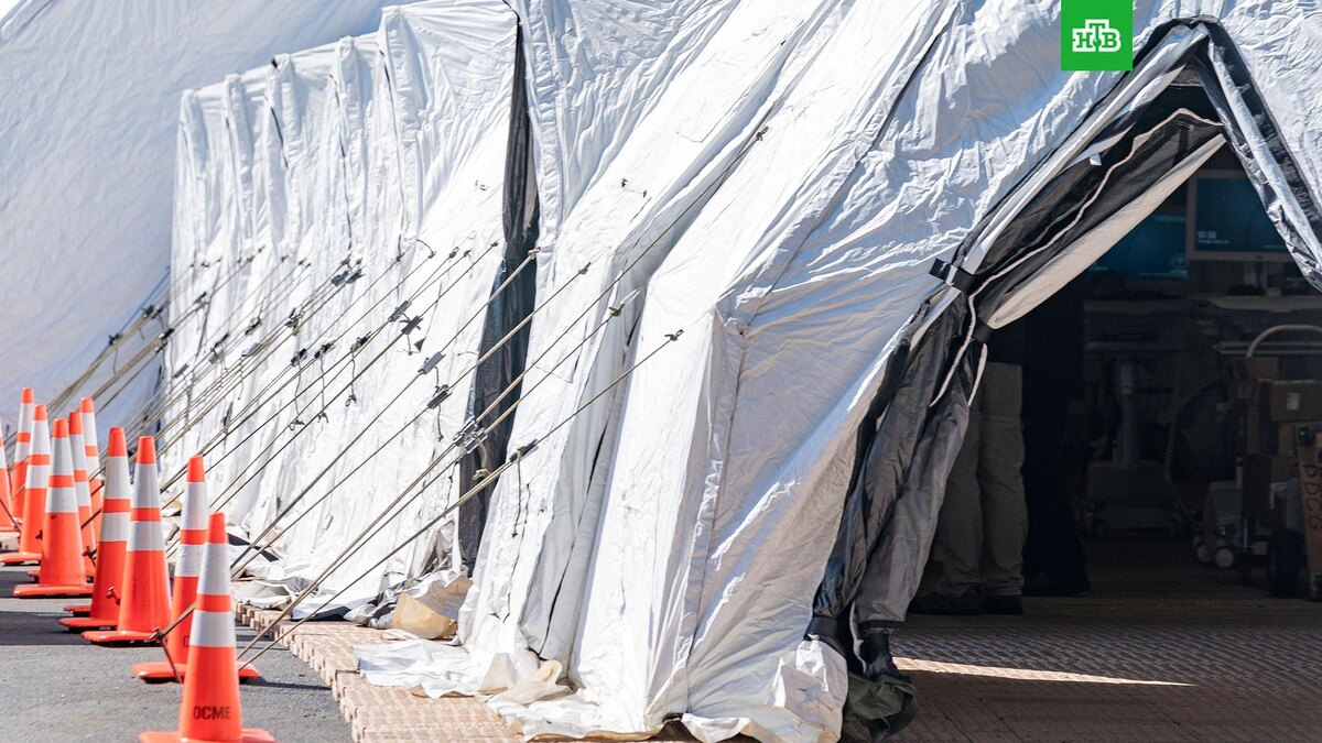    Фото: Zuma / TASS