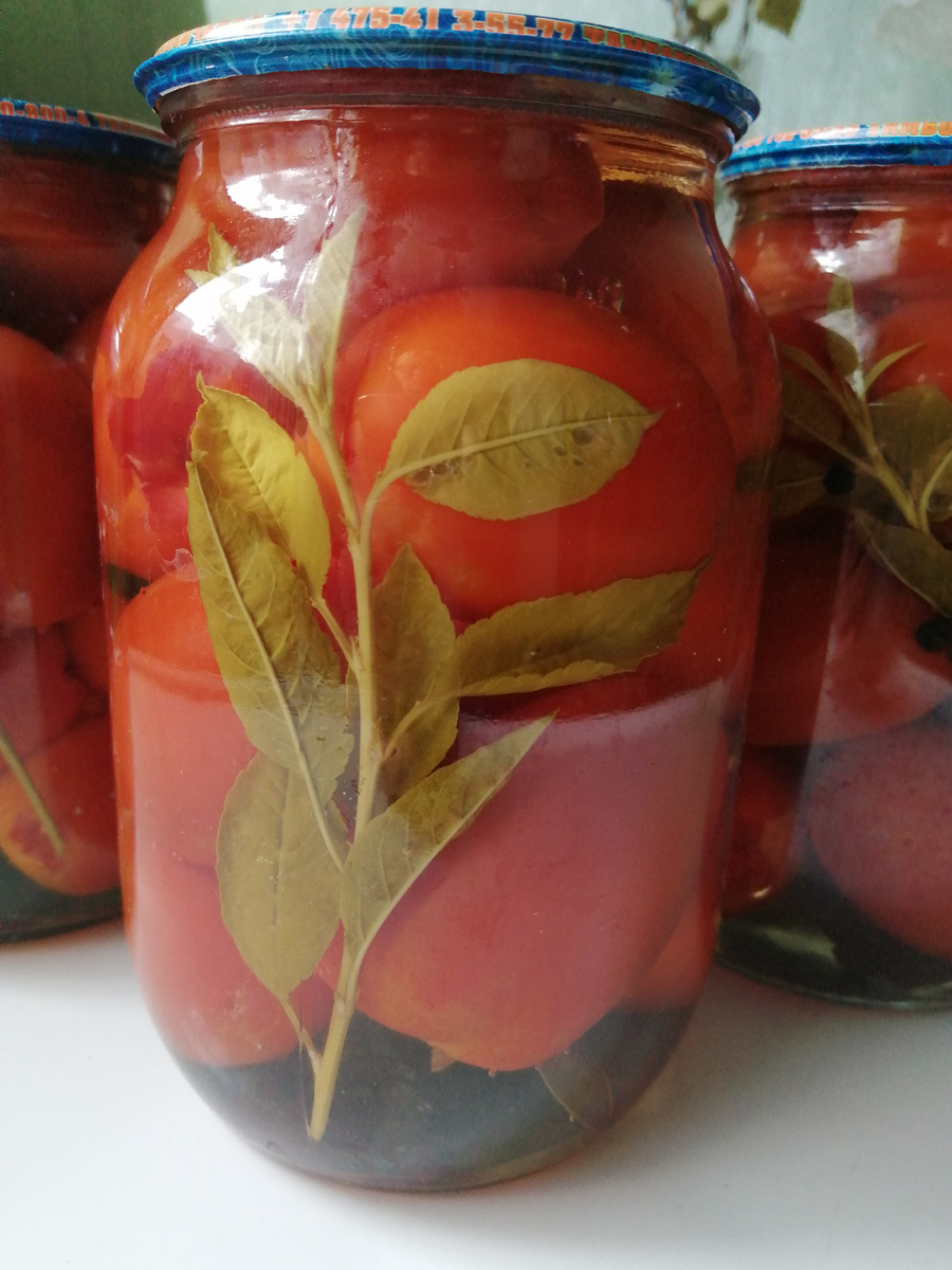 Помидорки и рассол по этому рецепту получаются изумительно вкусными 